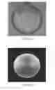 Fig. 16 - DIFFRACTIVE LIGHTING DEVICES WITH 3-DIMENSIONAL APPEARANCE