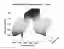 Fig. 01 - High Backscattering Waveguides