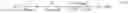 Fig. 07 - High Backscattering Waveguides