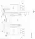 Fig. 13 - Photonic integrated circuit package using optical hybrid circuits