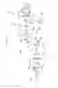 Fig. 34 - OPTICAL-AXIS-DIRECTION SCANNING MICROSCOPE APPARATUS