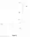 Fig. 07 - Follow-up fixed focus system