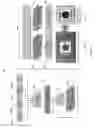 Fig. 11 - High efficiency digital light processing engine