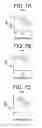 Fig. 08 - High plus treatment zone lens design and method for preventing and/or slowing myopia progression