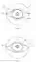 Fig. 02 - Saccade and vergence tracking for distance auto focus adjustment