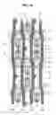 Fig. 10 - Display device with pixel arrangemnt for high resolution