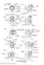 Fig. 97 - Process cartridge, electrophotographic image forming apparatus, and electrophotographic photosensitive drum unit