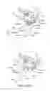 Fig. 99 - Process cartridge, electrophotographic image forming apparatus, and electrophotographic photosensitive drum unit
