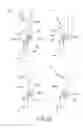 Fig. 24 - Process cartridge, electrophotographic image forming apparatus, and electrophotographic photosensitive drum unit