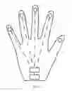 Fig. 02 - Touch glove and smart wearable system