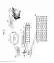 Fig. 04 - Gesture control