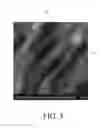Fig. 08 - Contact sensitive device, display apparatus including the same and method of manufacturing the same