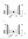 Fig. 03 - TOUCH SCREEN DEVICE AND DISPLAY DEVICE USING THREE-DIMENSIONAL POSITION INFORMATION
