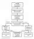 Fig. 01 - Proxy cache conditional allocation