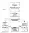 Fig. 02 - Proxy cache conditional allocation
