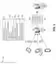 Fig. 06 - Digital document processing based on document source or document type