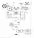 Fig. 02 - Method for authorizing and accessing medication parameters for prescription medications