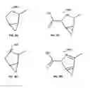 Fig. 04 - Scheme of new materials
