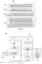 Fig. 06 - Apparatus and Method for Camera-Based User Authentication for Content Acess