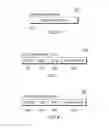 Fig. 09 - Architected store and verify guard word instructions