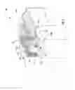 Fig. 02 - INDICIA-READING SYSTEM