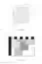 Fig. 20 - Two dimensional barcode with dynamic environmental data system, method, and apparatus