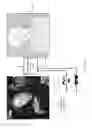 Fig. 03 - Automated effects generation for animated content
