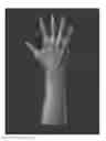 Fig. 01 - TRANSFORM LIGHTWEIGHT SKELETON AND USING INVERSE KINEMATICS TO PRODUCE ARTICULATE SKELETON