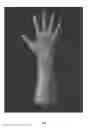 Fig. 08 - TRANSFORM LIGHTWEIGHT SKELETON AND USING INVERSE KINEMATICS TO PRODUCE ARTICULATE SKELETON