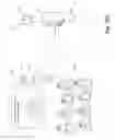 Fig. 50 - Wearable apparatus and methods for processing images to identify contextual situations