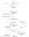 Fig. 09 - Automatic image duplication identification