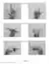 Fig. 03 - Recognition of hand poses by classification using discrete values