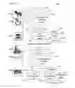 Fig. 03 - Generating preference indices for image content