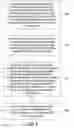 Fig. 04 - Automated Knowledge Graph Creation