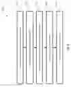 Fig. 04 - Dynamic processing for collaborative events