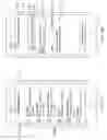 Fig. 03 - Display of locally broadcasted uniform resource locators for checkout and payment