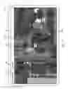 Fig. 10 - System, Method, and Apparatus for Outdoor Estimation