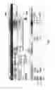 Fig. 09 - Modified cash ledger basis for an accounting system and process