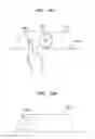 Fig. 10 - DISPLAY SYSTEM FOR VEHICLE