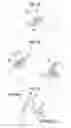 Fig. 20 - Image processing apparatus, image processing method, program, and recording medium