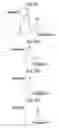 Fig. 21 - Image processing apparatus, image processing method, program, and recording medium