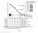 Fig. 08 - Objective method for assessing high contrast resolution of image based on Rayleigh criterion and testing operating method