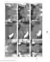 Fig. 04 - System and method for auto-contouring in adaptive radiotherapy
