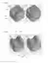 Fig. 07 - Modifying a sub-division model based on the topology of a selection