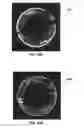 Fig. 22 - Bet sensing apparatuses and methods