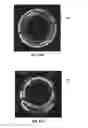 Fig. 25 - Bet sensing apparatuses and methods