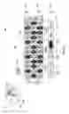 Fig. 03 - Methods of administering roulette bonus wagers and related apparatuses and systems