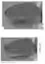Fig. 05 - ELECTRONIC ARTICLE SURVEILLANCE (EAS) ALARM TAG