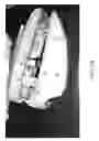 Fig. 06 - ELECTRONIC ARTICLE SURVEILLANCE (EAS) ALARM TAG