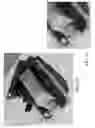 Fig. 07 - ELECTRONIC ARTICLE SURVEILLANCE (EAS) ALARM TAG